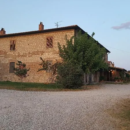 Bio Aia Della Colonna