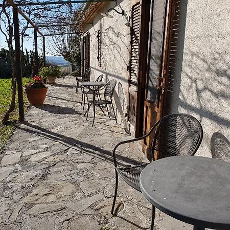 Bio Aia Della Colonna Scansano